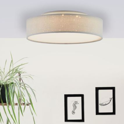 Brilliant - LED Dimmelhető mennyezeti lámpa BASKA LED/12W/230V átm. 38 cm 3000K