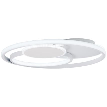 Brilliant - LED Dimmelhető mennyezeti lámpa RUNDA LED/50W/230V 3000-6500K fehér + távirányítás