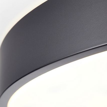 Brilliant - Dimmelhető mennyezeti lámpa SLIMLINE LED/50W/230V 1800-6500K Ø 49 cm fekete + távirányító