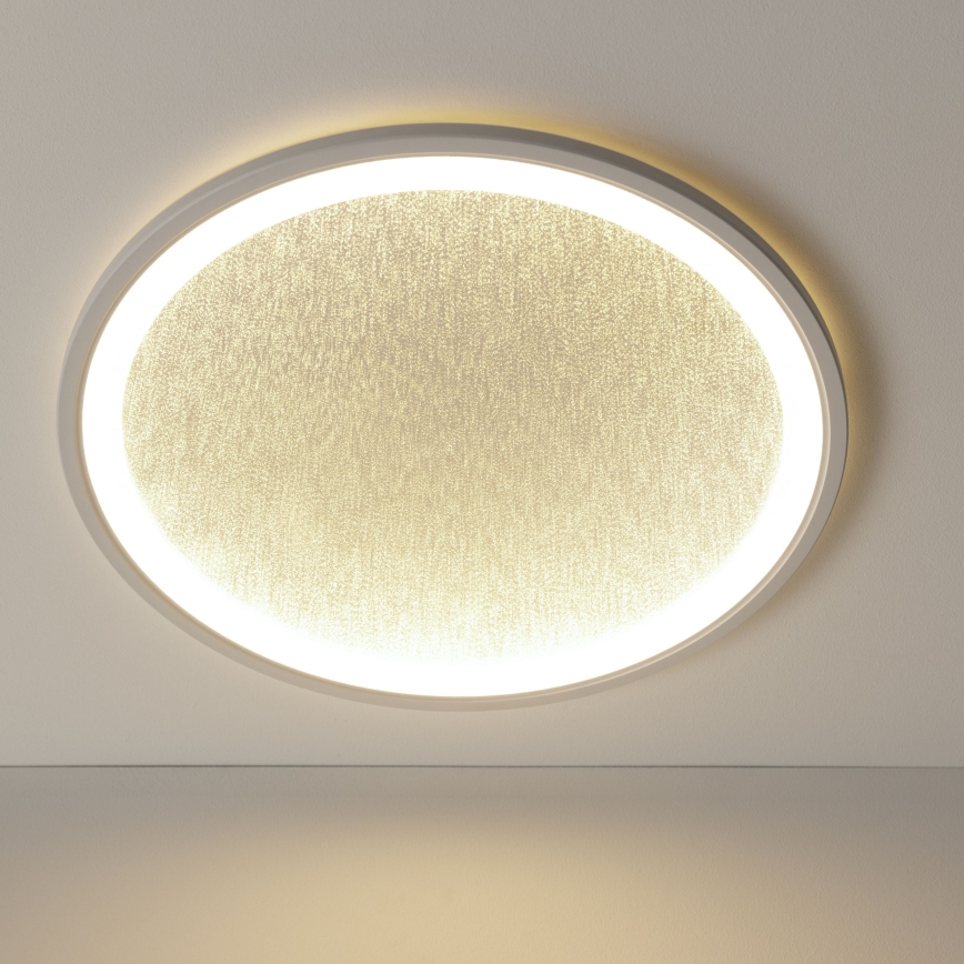 Brilliant - LED Dimmelhető mennyezeti lámpa TANIDA LED/31W/230V 3000-6500K + távirányítás