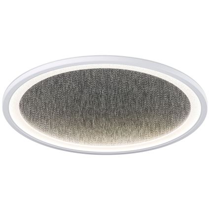 Brilliant - LED Dimmelhető mennyezeti lámpa TANIDA LED/31W/230V 3000-6500K + távirányítás