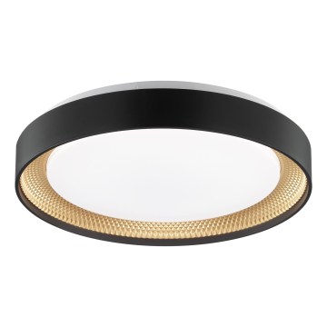 Brilliant - LED dimmelhető mennyezeti lámpa WALDO LED/24W/230V 3000–6500K Ø 38,5 cm fekete/arany + távirányító