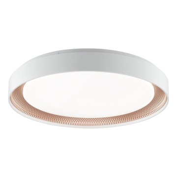 Brilliant - LED Dimmelhető mennyezeti lámpa WALDO LED/36W/230V 3000-6500K átm. 48,5 cm fehér/rózsaarany + távirányító