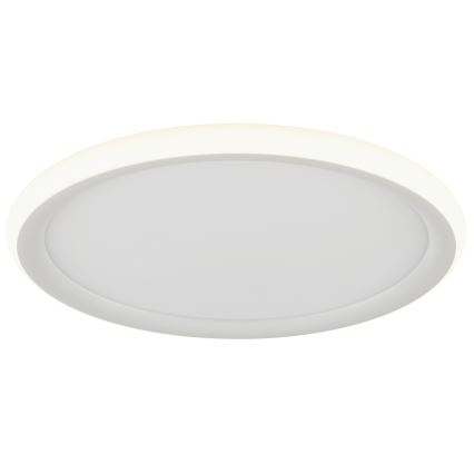 Brilliant - LED dimmelhető mennyezeti lámpatest CARLOZ LED/16W/230V, átm. 30 cm, fehér