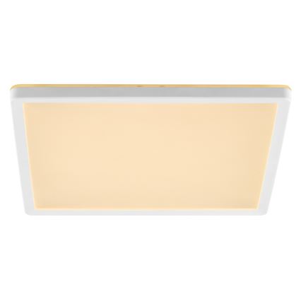 Brilliant - dimmelhető LED mennyezeti lámpatest LUMARO LED/18W/230V 3000-6500K 29,3x29,3 cm fehér + távirányító