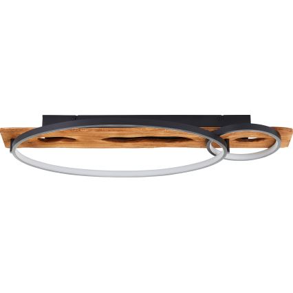 Brilliant - LED fényerőszabályozható mennyezeti lámpa PIRUS LED/30W/230V 30x70 cm gumifa