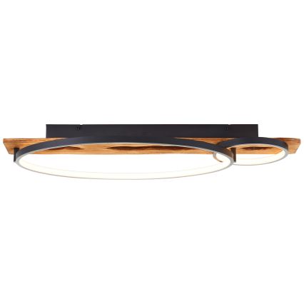 Brilliant - LED fényerőszabályozható mennyezeti lámpa PIRUS LED/30W/230V 30x70 cm gumifa