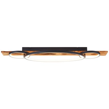 Brilliant - LED dimmelhető mennyezeti lámpatest PIRUS LED/40W/230V 30x90 cm gumifa