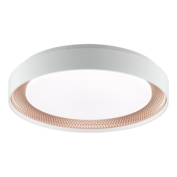 Brilliant - LED Dimmelhető mennyezeti lámpatest WALDO LED/24W/230V 3000-6500K átm. 38,5 cm fehér/rózsaarany + távirányítóval