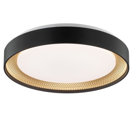 Brilliant - LED dimmelhető mennyezeti lámpa WALDO LED/24W/230V 3000–6500K Ø 38,5 cm fekete/arany + távirányító