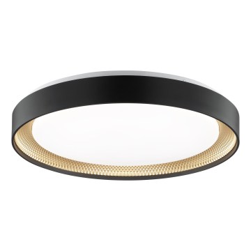 Brilliant - LED Fényerőszabályozható mennyezeti lámpatest WALDO LED/36W/230V 3000-6500K átm. 48,5 cm fekete/arany + távirányító