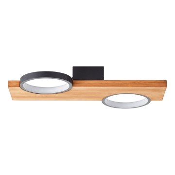 Brilliant - LED Mennyezeti lámpa CHEESY LED/14W/230V fenyő