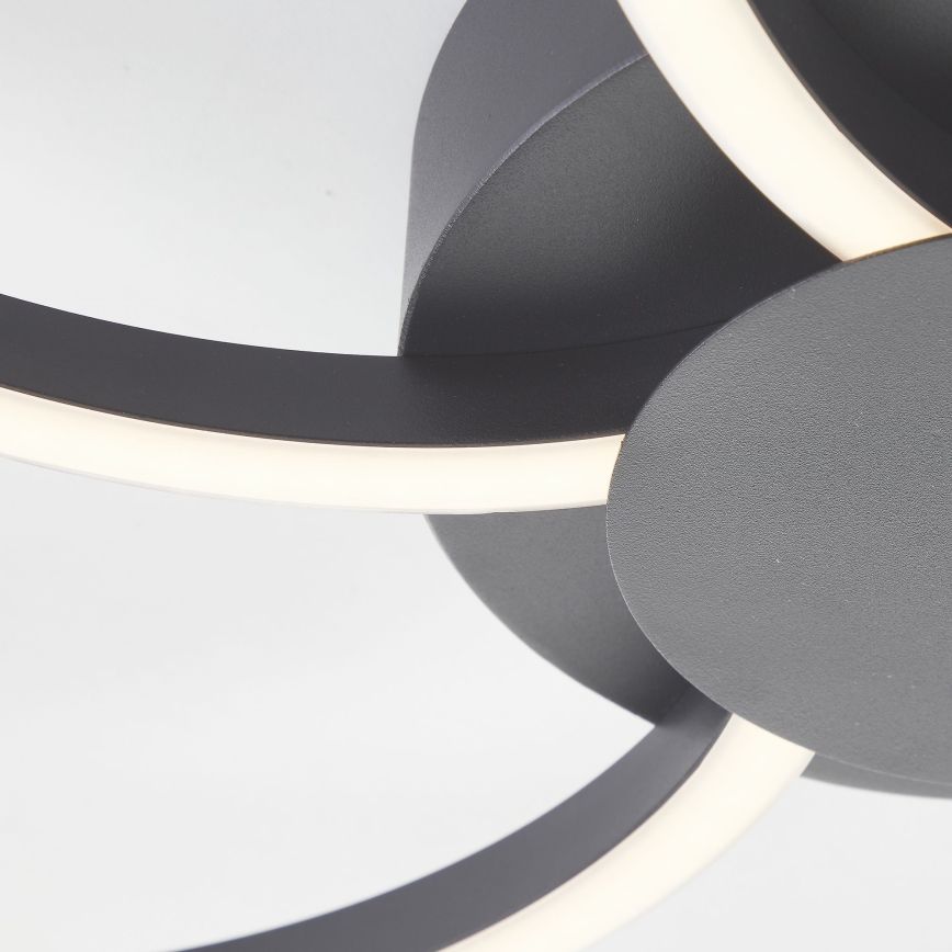 Brilliant - LED Dimmelhető mennyezeti lámpa FICO LED/32W/230V 3000-6500K átm. 65 cm fekete + távirányítás