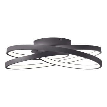 Brilliant - LED Mennyezeti lámpa LABYRINTH LED/40W/230V átm. 39,5 cm fekete