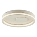 Brilliant - LED mennyezeti lámpa REVOLA LED/33W/230V 3000/4000/6500K átm. 40 cm bézs