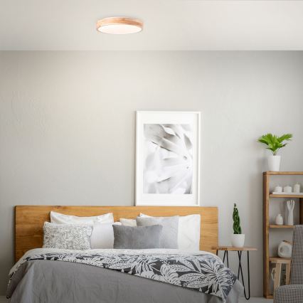 Brilliant - LED mennyezeti lámpa SLIMLINE LED/24W/230V Ø 34,5 cm gumifa