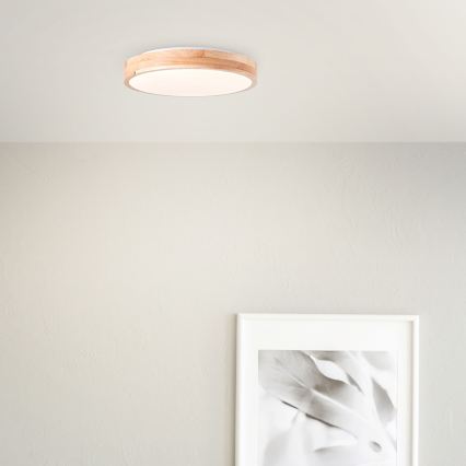 Brilliant - LED mennyezeti lámpa SLIMLINE LED/24W/230V Ø 34,5 cm gumifa