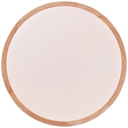 Brilliant - LED mennyezeti lámpa SLIMLINE LED/24W/230V Ø 34,5 cm gumifa
