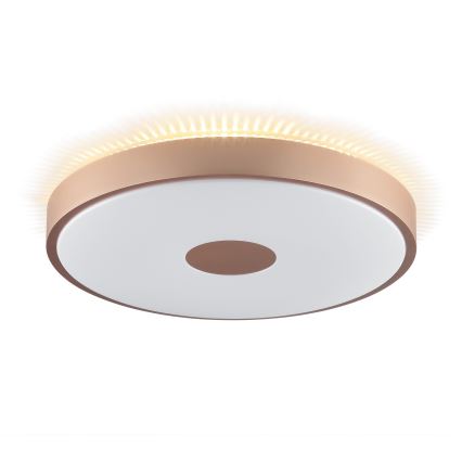 Brilliant - LED mennyezeti lámpa TAVIS LED/24W/230V átm. 44,5 cm rózsaarany