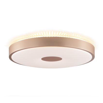 Brilliant - LED mennyezeti lámpa TAVIS LED/24W/230V átm. 44,5 cm rózsaarany