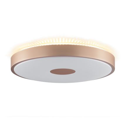Brilliant - LED mennyezeti lámpa TAVIS LED/24W/230V átm. 44,5 cm rózsaarany