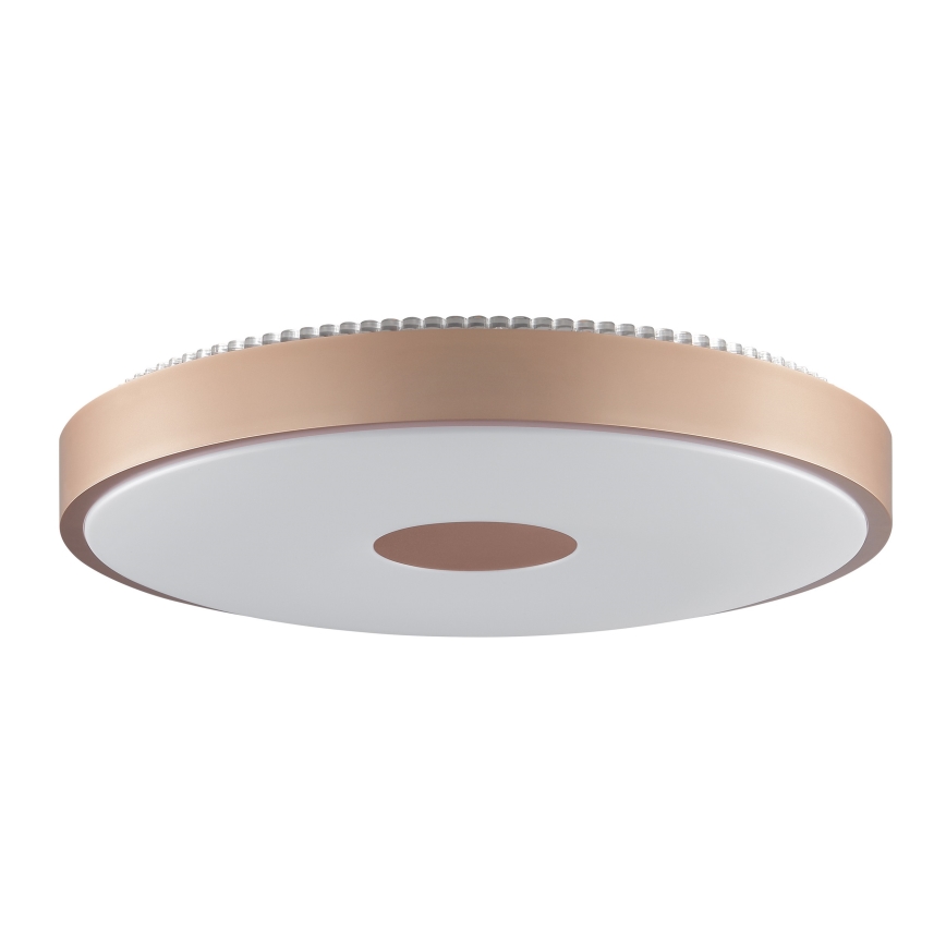 Brilliant - LED mennyezeti lámpa TAVIS LED/24W/230V átm. 44,5 cm rózsaarany