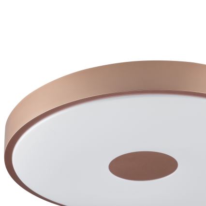 Brilliant - LED mennyezeti lámpa TAVIS LED/24W/230V átm. 44,5 cm rózsaarany