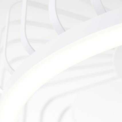 Brilliant - CAPO LED dimmelhető mennyezeti lámpa ventilátorral LED/36W/230V 2700-6500K átm. 48 cm fehér + távirányító