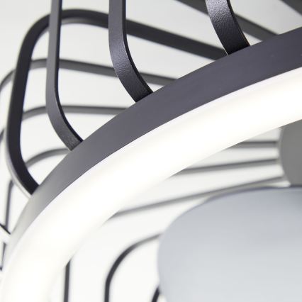 Brilliant - LED dimmelhető mennyezeti lámpa ventilátorral CAPO LED/36W/230V 2700-6500K Ø 48 cm fekete + távirányító