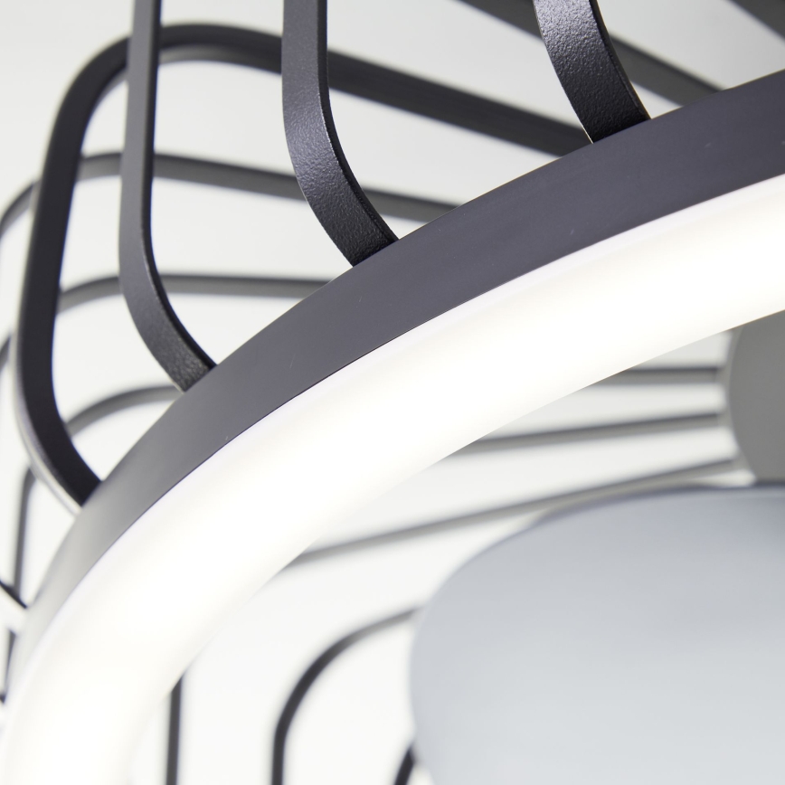 Brilliant - LED dimmelhető mennyezeti lámpa ventilátorral CAPO LED/36W/230V 2700-6500K Ø 48 cm fekete + távirányító
