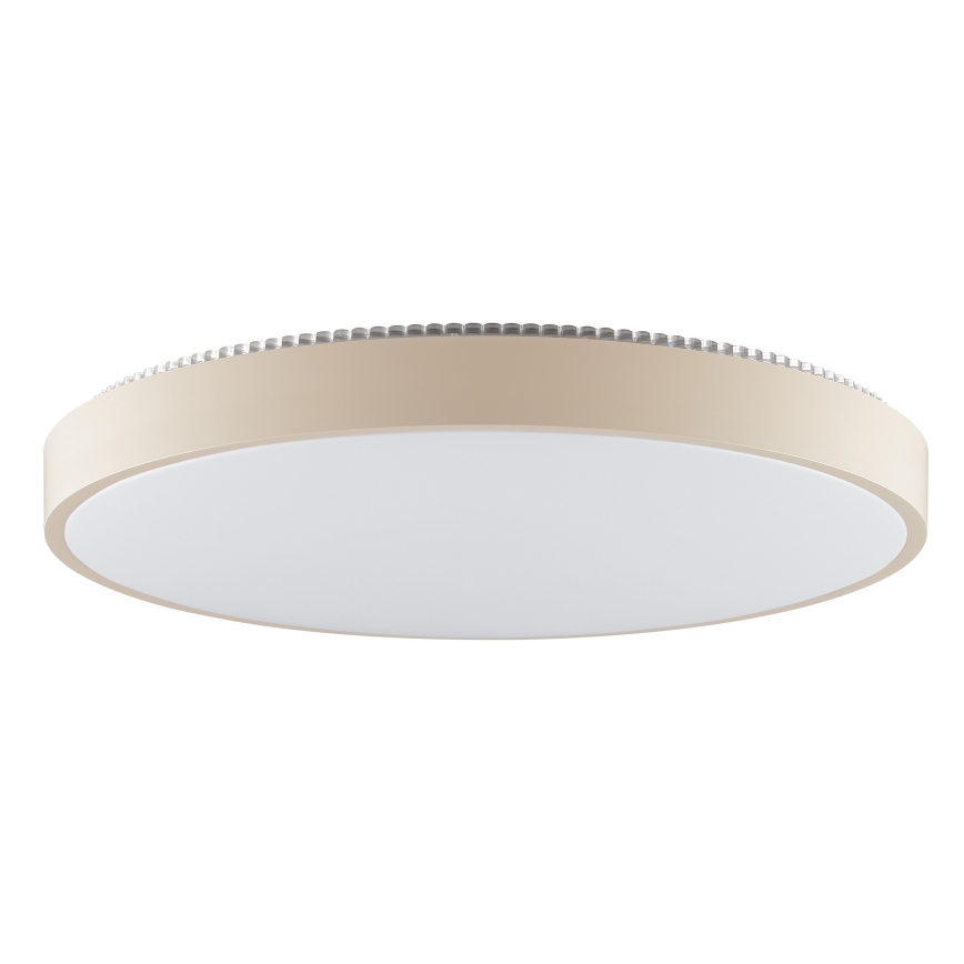 Brilliant - LED mennyezeti lámpatest SOLISTRA LED/36W/230V átm. 54 cm bézs