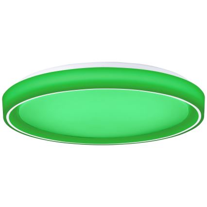 Brilliant - LED RGBW Dimmelhető mennyezeti lámpa FLOCO LED/34W/230V 3000-6500K átm. 49,5 cm fehér + távirányítás