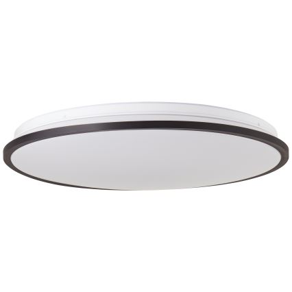 Brilliant - LED RGBW Dimmelhető mennyezeti lámpa HEIDA LED/30W/230V 3000-6500K + távirányítás