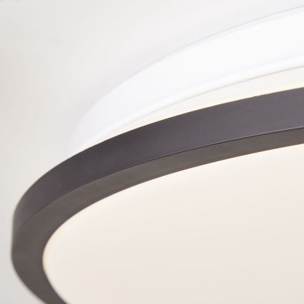 Brilliant - LED RGBW Dimmelhető mennyezeti lámpa HEIDA LED/30W/230V 3000-6500K + távirányítás