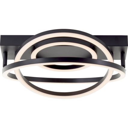 Brilliant - PEDLEY dimmelhető LED mennyezeti lámpa LED/36W/230V fekete