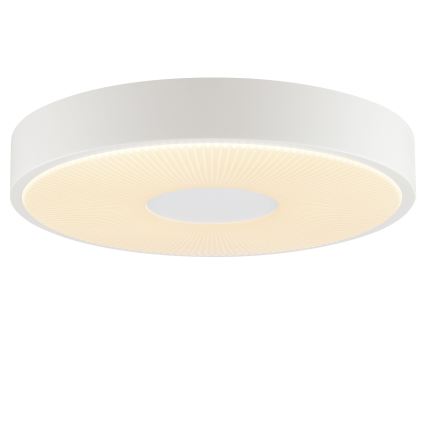 Brilliant - RAKIN LED mennyezeti lámpatest, LED/18W/230V, átmérő 33,5 cm, fehér