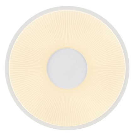 Brilliant - RAKIN LED mennyezeti lámpatest, LED/18W/230V, átmérő 33,5 cm, fehér