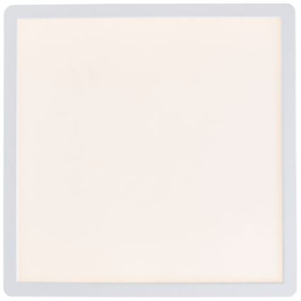 Brilliant - LED RGBW dimmelhető mennyezeti lámpa SALTERY LED/20W/230V 3000-6500K + távirányító