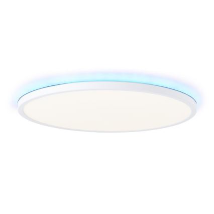 Brilliant - LED RGBW dimmelhető mennyezeti lámpa SALTERY LED/22W/230V 3000-6500K + távirányító