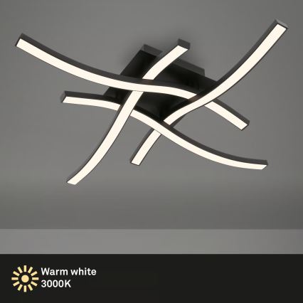 Brilo 3677-045 - LED mennyezeti lámpa LED/14,4W/230V fekete