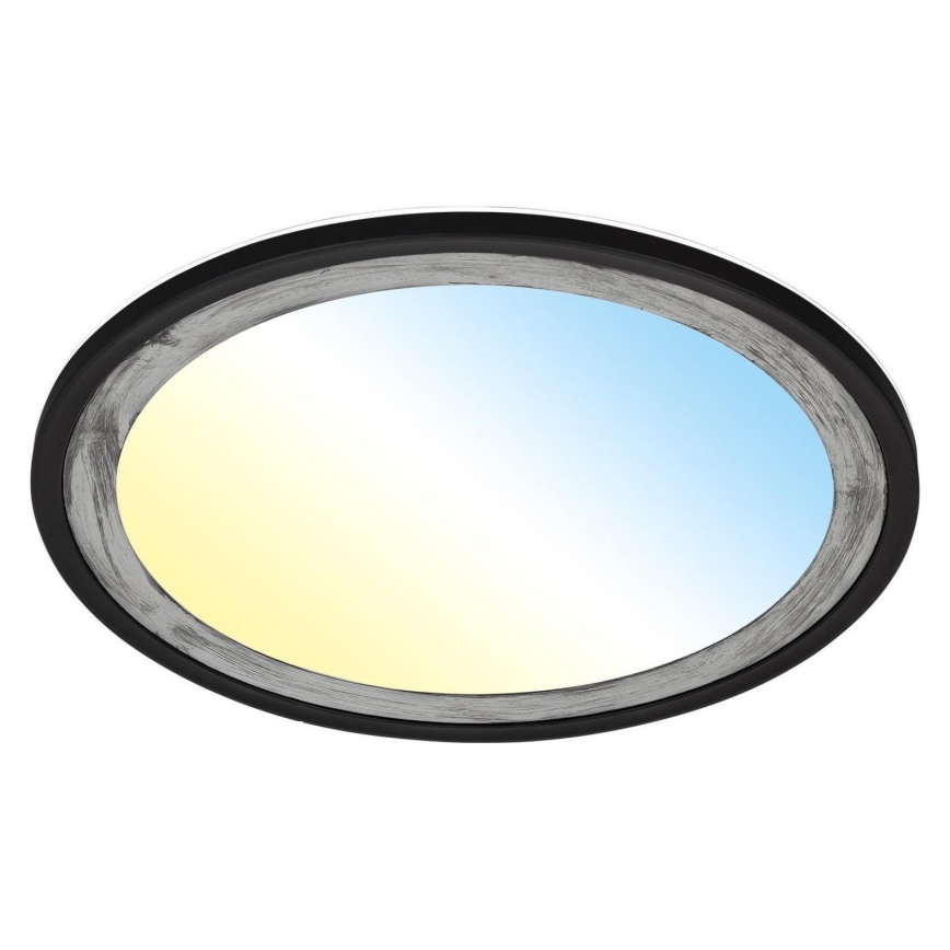 Brilo - LED Dimmelhető mennyezeti lámpa SLIM LED/22W/230V 2700-6500K + távirányítás