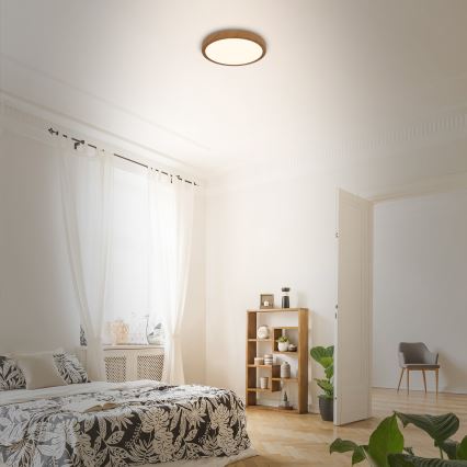 Brilo - LED Mennyezeti lámpa RUNA LED/12W/230V