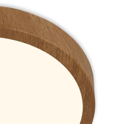 Brilo - LED Mennyezeti lámpa RUNA LED/12W/230V