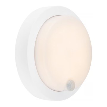 Brilo - LED újratölthető kültéri fali lámpa érzékelővel LED/4W/5V 4400 mAh IP44 fehér