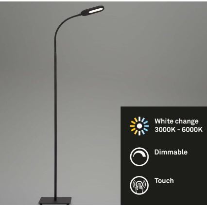 Briloner 1297-015 - LED állítható fényerejű, flexibilis állólámpa LED/6,6W/230V 3000K/4000K/6000K
