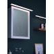Briloner 2060-018 - LED Fürdőszobai tükörmegvilágító SPLASH LED/10W/230V IP23