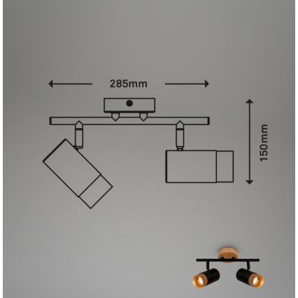 Briloner 2144025 - Spotlámpa SPOT 2xGU10/9W/230V