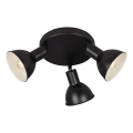 Briloner 2674-035 - Spotlámpa RETRO 3xE14/25W/230V fekete