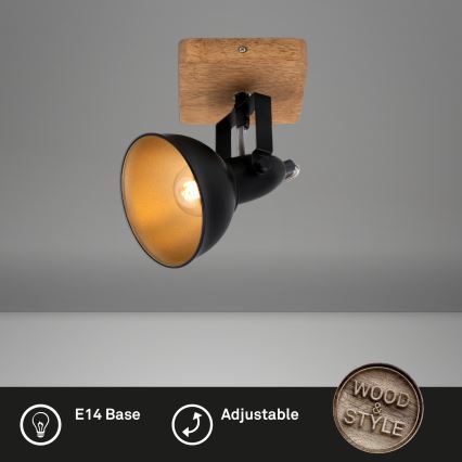 Briloner 2901-015 - Spotlámpa SPOT 1xE14/25W/230V