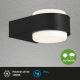 Briloner 3035-015 - LED Kültéri fali lámpa HANAU LED/6,5W/230V IP44 fekete